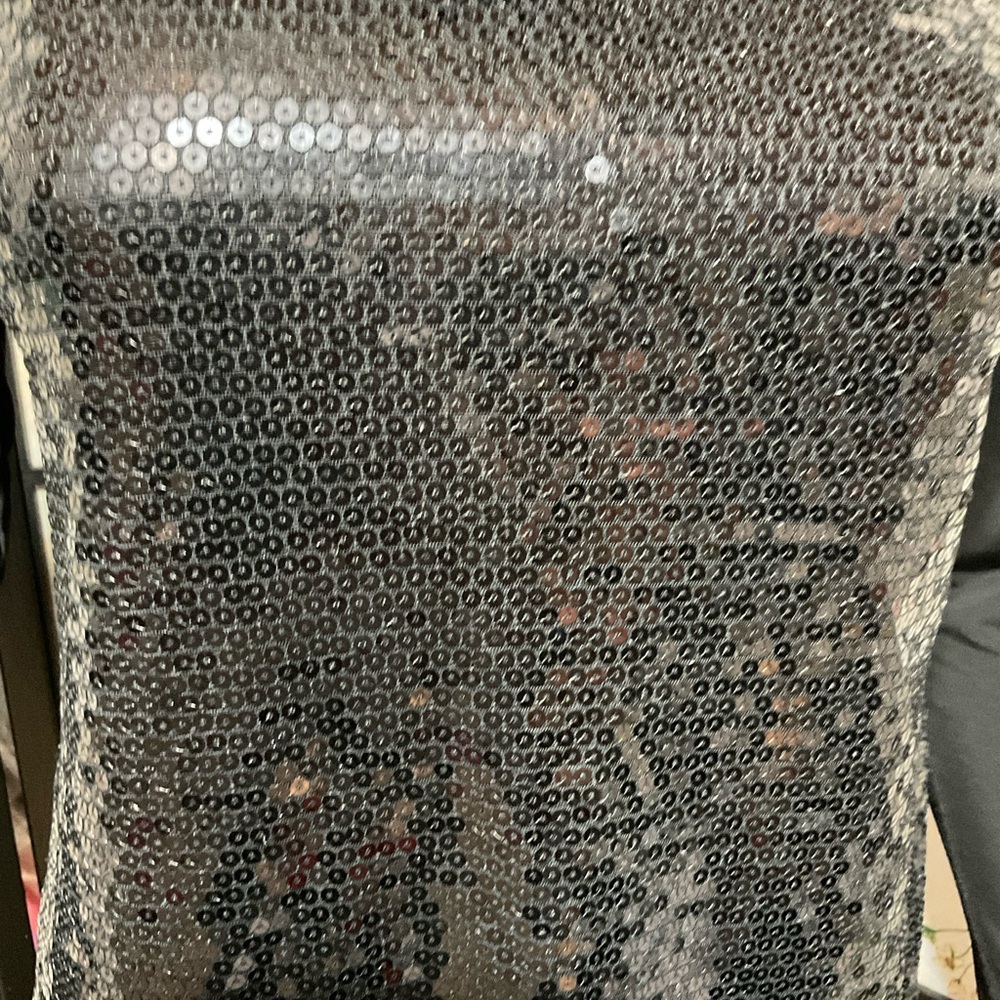 Slinky Brand Sequined Turtleneck Top - Picture 2 of 7
